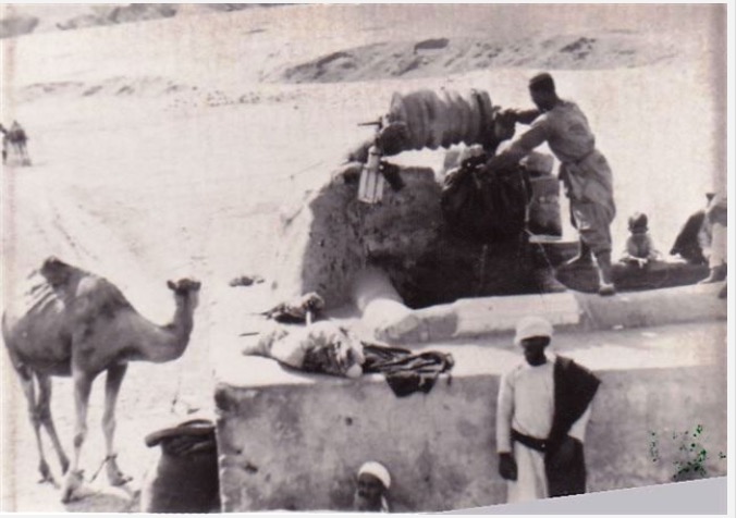 Hamdiya’s Camel