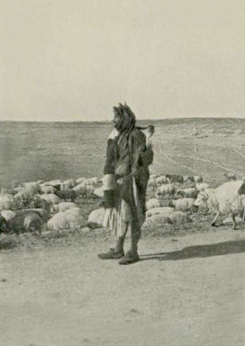 The Shepherd